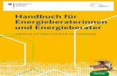 Handbuch für Energieberaterinnen und Energieberater · 2020. 6. 17. · Der iSFP soll die Hauseigentümer zu einer hochwertigen Sanierung motivieren. Deshalb ist jeder iSFP auf das