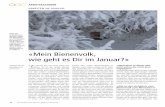 Arbeiten im Januar: «Mein Bienenvolk,...Schweizerische Bienen-Zeitung 01/2014 7 ARBEITSKALENDER Ein neues Jahr hat begonnen. Damit auch ein neues Team, welches unsere Leser und Lehrerin-nen