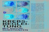 KREBS- BEGLEI- - Natursubstanzen · 2017. 4. 6. · 2/2011 LEBE 17 Auch wenn wir das ultimative Krebs-Heilmittel aus der Na-tur bisher noch nicht gefun-den haben, können Natur-mittel