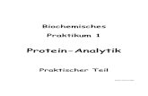 Biochemisches Praktikum 1 – Grundpraktikum · 2020. 1. 23. · Praktikum 1 Protein-Analytik Praktischer Teil Version Februar 2020 . Inhaltsverzeichnis Seite Sicherheitshinweise