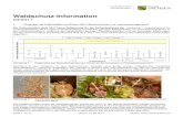 Waldschutz-Information - SachsenSeite 2 von 3 Stand: 13.04.2017 Quelle: In allen Beständen war die so angeschätzte Populationsdichte der Wanzen höher als die der gezählten Schmetterlingslarven.