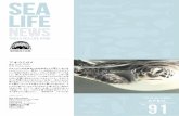 のもう一つの - Ueno Zoo...9 Vol.18 No.2 2020 APRIL 1 2019年 この1年の「西なぎさ」 水族園では偶 ぐう 数 すう 月に葛西海浜公園「西なぎさ」で小型