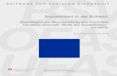 Sozialfirmen in der Schweiz - BSV-Online · (SUPSI) einen Forschungsauftrag, um über die notwendigen Grundlagen zur Erarbeitung des Berichts zu verfügen. Die nun vorliegende gibt