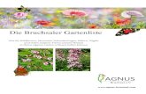 Die Bruchsaler Gartenliste - Agnus: Startseite · 2020. 6. 16. · Die Bruchsaler Gartenliste. Die schönsten und am besten für unsere Gärten geeigneten Wildpflanzen unserer Heimat.