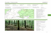 Punkt: Vitzeroda 160033 - Thüringen Forst · 2016. 7. 19. · Bodenversauerung / Basensättigung Nährstoffvorräte (mittel bis langfristig verfügbar) Nadel- und Blattanalysewerte