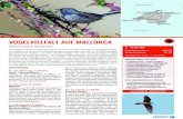 VOGELVIELFALT AUF MALLORCA - ARCATOUR · PDF file Parc natural de s’Albufera de Mallorca Boquer Santuari de Lluc Cúber Mittelmeer Mittelmeer Mallorca VOGELVIELFALT AUF MALLORCA