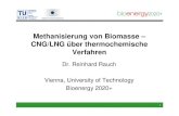 Methanisierung von Biomasse – CNG/LNG über … · 2015. 3. 5. · Methanisierung von Biomasse ... fluidised bed, fixed bed or slurry reactor gasification Gas cleaning (tars, sulphur)