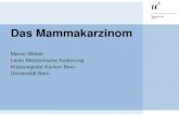 Titel der Präsentation - Krebsregister Bern Solothurn · Brusttumor mit strahlenförmigen Ausläufer ins umgebende Gewebe . 2. Diagnostik 2. 4 BI-RADS-Klassifikation 24. November