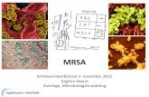MRSA · 2015. 11. 23. · MRSA •Methicillin-resistant Staphylococcus aureus •MRSA = gule stafylokokker (S. aureus) med ervervet resistens mot betalaktamantibiotika –Betalaktamer