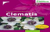 Clematis · 2014. 6. 16. · Clematis können sehr gut als Begleitpflanzen einge-setzt werden. Das Hauptziel ist dabei, den Zierwert anderer Pflanzen zu erhöhen oder zu ergänzen
