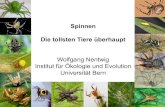 Spinnen Die tollsten Tiere überhaupt Wolfgang Nentwig …...Die tollsten Tiere überhaupt Wolfgang Nentwig Institut für Ökologie und Evolution Universität Bern • Insekten 6 Beine,