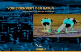 VOM EIGENWERT DER NATUR · 2021. 1. 8. · ren Grund gibt, die Brandseeschwalben vor dem Aussterben zu bewahren:die Vögel selber.Andererseits glauben sie, dass der Verweis auf ihren