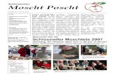 Schlosswiler Moscht Poscht - Oelibuur Poscht 2007.pdf · 2007. 10. 7. · Schlosswiler Moscht Poscht 8. Ausgabe, Oktober 2007 Seite 3 Aktivitäten an der Schlosswiler - Mosc htete