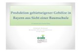 Produktion gebietseigener Gehölze in gebietseigener Gehölze in … · 2019. 1. 28. · 1. Wie stellt sich das heutige System der autochthonen Gehölzproduktion in Bayern dar? •