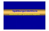 Überblick über qualitative Aspekte - DLR Rheinpfalz ... Klon Entav 777 (Frankreich)-kleinbeerig, kompakt, aromaintensiv, farbkräftig, ertragsschwach durch kleineTrauben und reduzierter