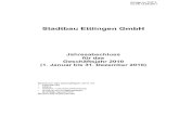 Stadtbau Ettlingen GmbH€¦ · Deutschland im Jahr . 2010 . urn . 4,1 % im Vergleich zum Vorjahr angestiegen; damit Iiegt der Energieverbrauch in Deutschland bei . 14.012 . Petajoule.