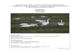 Ornithologische Arbeitsgemeinschaft Schleswig-Holstein - … · 2016. 4. 13. · Ornithologische Arbeitsgemeinschaft für Schleswig-Holstein und Hamburg (OAG) Lütt Dörp 22, ...