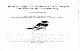 Ornithologische Schnellmitteilungen fiir Baden-Wiirttemberg · 2014. 8. 26. · Ornithologische Schnellmitteilungen fiir Baden-Wiirttemberg Informations brief Neue Folge 42 ... 1987