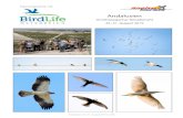 Andalusien - Khilkhil.net/Khil_Reisebericht Suedspanien 2019.pdf · 2019. 10. 3. · Andalusien Ornithologischer Reisebericht 25.-31. August 2019 Exkursionsbericht Nr. 168 Andalusien