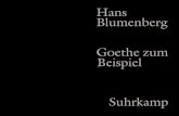 Suhrkamp Verlag ... Manfred Sommer herausgegeben vom Hans Blumenberg-Archiv Suhrkamp Dieser Band ist