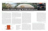 Risikofällung Käferbaum - Tiroler Bauernbund...SEITE II MARKTPLATZ NR. 23 | 4. JUNI 2020 | BauernZeitungTanja, 36 Jahre, bin eine liebevolle, bildhübsche Kellnerin mit schlanker