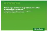 Energiemanagement als Erfolgsfaktor - International ......Hier finden Sie auch die im Rahmen dieses Forschungsprojektes erstellte Broschüre „DIN EN 16001: Energiemanagementsysteme