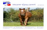 HOPP GALOPP 4 2012 - RVN · 2012. 11. 13. · HOPP GALOPP! 4 2012 Am Samstag im M23 waren die Pferde nicht nur schön zurechtgemacht, sondern sie zeigten auch meisterliche Darbietungen,