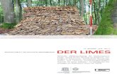 10. JAHRGANG · 2016 · HEFT 2 NACHRICHTENBLATT ......schinger Forst“ deutlich wird. In den letzten Jahren werden in der Archäologie vermehrt computergestützte Analysemethoden