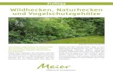 Wildhecken, Naturhecken und Vogelschutzgehأ¶lze ... Seidenschwanz Garten-Center eier reustrasse 2 635