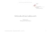 Modulhandbuch Master Maschinenbau - hs-anhalt.de...Allgemeine technologische und materialkundliche Vertiefungen zu Verfahren der Hauptgruppen der Fertigungstechnik Spezielle Fertigungsverfahren