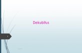 Dekubitus...2017/05/23  · Engert 2017. 2 Dekubitus. Decubare = (lat.) sich niederlegen. Durch Druck entstehende Hautläsion. Es kommt zur Nekrose von Zellen, Zellgruppen und Gewebeteilen