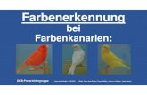 DKB-Homepage - Farbenerkennungdkb-online.de/prr-fpmce_farbenerkennung.pdf31 Braun pastell rot mosaik Typ 2 32 32 Achat topas gelb mos.T2 33 33 Schwarz jaspe rot mosaik Typ 2 34 34