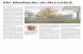 Ausgabe 'Aargau Frick', 11.05.2019, Seite 32 - Rinau Park · 2020. 1. 31. · VISUALISIERUNG/ZVG «Es war ein wichtiges Kriterium, das mög- lichst viel vom Park erhalten bleibt.».