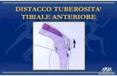 DISTACCO TUBEROSITA’ TIBIALE ANTERIORE · 2016. 1. 7. · Microsoft PowerPoint - SISCA STAGE SPORTILIA 2005.ppt Author: grassig Created Date: 2/28/2006 8:06:34 AM ...