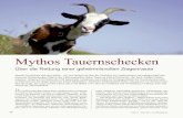 Mythos Tauernschecken · 2013. 7. 30. · Der Alm- und Bergbauer 8-9/13 39 als Funktionär war er die treibende Kraft, denn es galt die Tauernschecken als hochgefährdete Gebirgsziegenrasse
