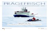 201007 Muenze Praegefrisch4...2019 ankerte das Schiff an einer massiven Eisscholle, um sich – pünktlich zur Polar-nacht – einfrieren zu lassen. Dann begann ein monatelanger, nur