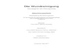 Die Wundreinigung - Wundmanagement Tirol · 2017. 11. 29. · Seite 1 1. Einleitung Eine mangelhafte Wundreinigung erschwert die Therapie und gefährdet den Behandlungserfolg. Das