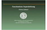Faszination Supraleitung - Philipps-Universitأ¤t Marburg ... Faszination Supraleitung Florian Gebhard