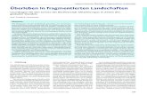 Thomas Fartmann, Überleben in fragmentierten Landschaften …fartmann.net/downloads/articles/Fartmann_Ueberleben_in_f... · 2017. 9. 5. · long term survival. The relevance of connectivity