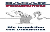 Die Inspektion von Drahtseilenseil-technik.com/bro_dt/casar_inspektion.pdf · 2005. 5. 14. · Bild 7: Klanke 7. R. Verreet: Die Inspektion von Drahtseilen Seilstränge werden, auch