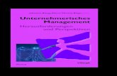 Johannes Rüegg-Stürm /Thomas Bieger (Hrsg ......Unternehmerisches Management Herausforderungen und Perspektiven Johannes Rüegg-Stürm /Thomas Bieger (Hrsg.)Auszug Rüegg-Stürm