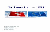 SwissEduc - Unterrichtsmaterialien · Web viewMarkt innerhalb der Grenzen eines Staates oder eines Staatenbündnisses (Duden online) Zeit: 5’ Auftrag 7: Grundfreiheiten der EU Im
