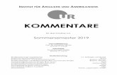 KOMMENTARE - uni-regensburg.de...INSTITUT FÜR ANGLISTIK UND AMERIKANISTIK KOMMENTARE für das Studium im Sommersemester 2019 Geschäftsführung: Prof. Dr. Roswitha Fischer Zimmer