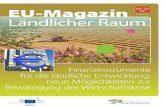 EU-Magazin Nr. 13...Jessica Gemeinsame europ ische Unterst tzung f r nachhaltige Investitionen in Stadtgebiete KMU Kleine und mittlere Unternehmen MFI MikroÞnanzinstrument NLR Nationales
