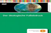 Der ökologische Fußabdruckmedia.fwu.de/beihefte/55/016/5501633.pdftäglich in der Hand hält: Papier. In Deutschland und Österreich liegt der Papierverbrauch pro Kopf bei rund 250