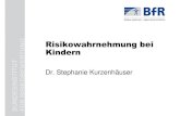 Risikowahrnehmung bei Kindern BUNDESINSTITUT FÜR … · 2019. 1. 18. · Dr. S. Kurzenhäuser, 29.06.2009, BfR-Forum „Das Kind als Verbraucher“ Seite 3 Risiko-wahrnehmung (Risiko-)