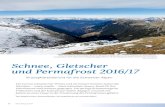 Foto:LucaSilvanti Schnee, Gletscher und Permafrost 2016/1717654... · 2018. 7. 25. · de Tsan úeuron, Glacier de la Plaine ... Eis úiessbewegung hängt von der Mächtigkeit und