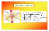 GEOBIOLOGIA- [Modo de compatibilidad] 2019. 3. 20.آ  RAYONEX Production and Management RAYONEX Schwingungstechnik