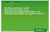 Aufkommen und Verwertung von Verpackungsabfällen in Deutschland im Jahr 2013 · 2017. 11. 17. · Aufkommen und Verwertung von Verpackungsabfällen in Deutschland im Jahr 2013 4