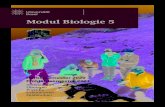 Modul Biologie 5 - unibas.ch · 2020. 9. 11. · 12234 Vorlesung mit Praktikum: Protozoologie 17 39452 Vorlesung: Zoologie – Einblicke in die Forschung bei verschiedenen Artengruppen
